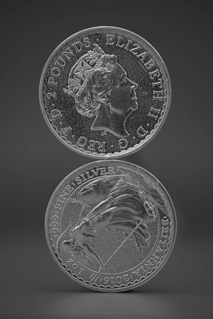 Close-up of two British two-pound coins in silver on a gray background, highlighting intricate designs.