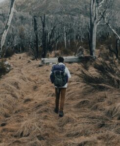 A hiker with a backpack navigates through a rugged, mountainous landscape with bare trees and grasses.